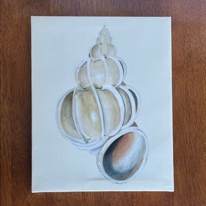 Textured Canvas ad Seashell 8x10 Artwork
